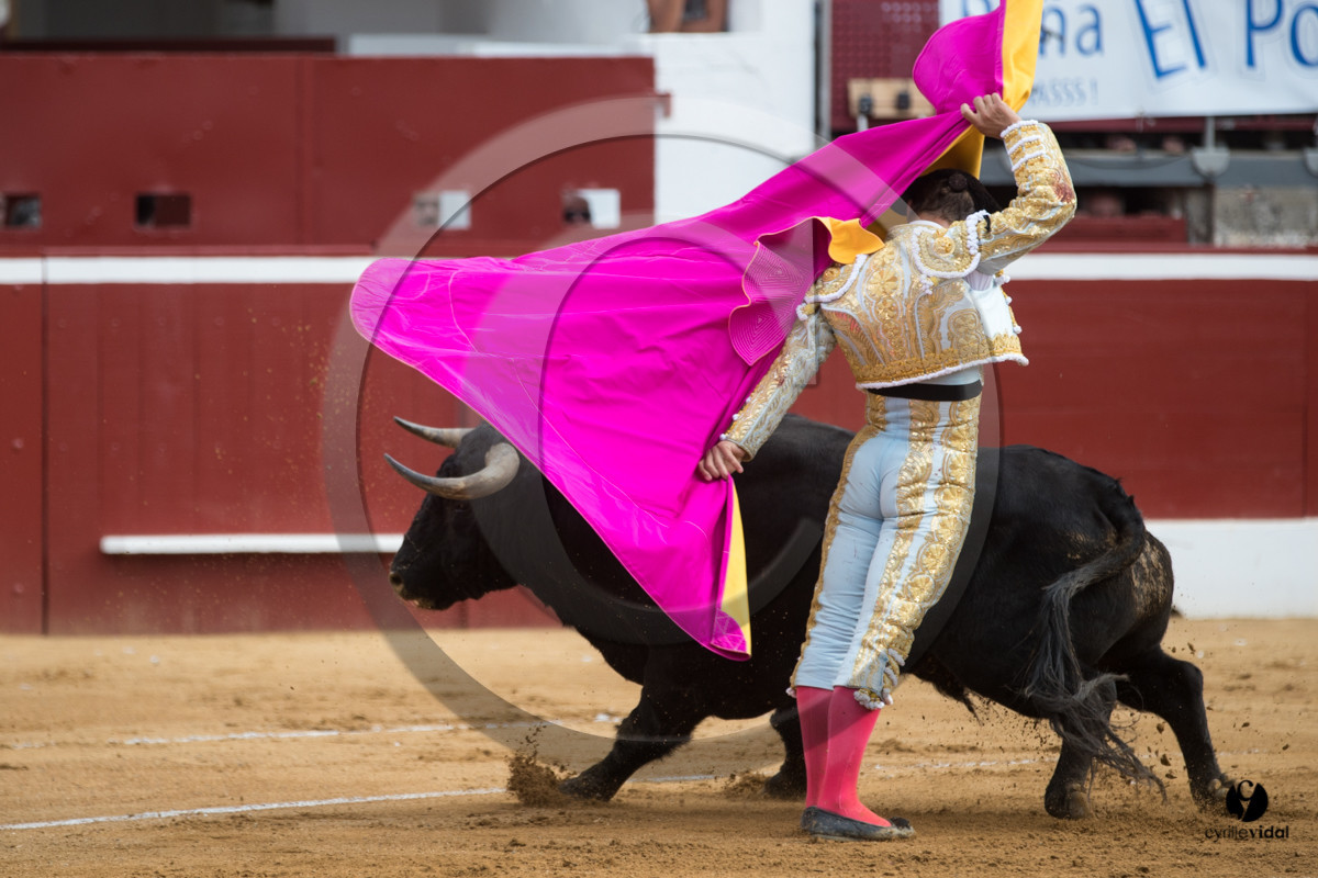 Mont-de-Marsan corrida de Garcigrande pour El Juli et Juan Bautista