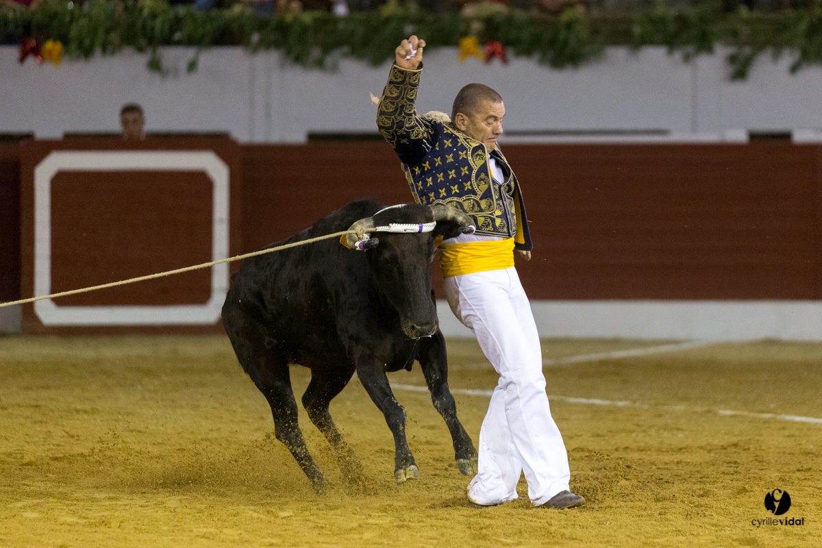 Aire sur l'Adour course landaise génération Aturine