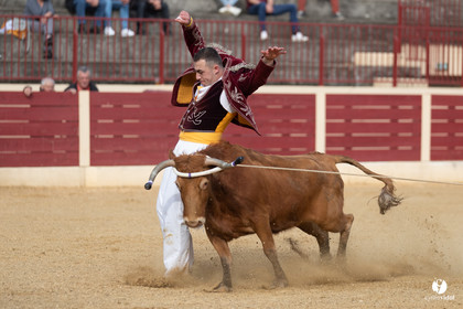 Course landaise Le Houga Ganadéria Dussau Cuadrilla Alexandre Brethes