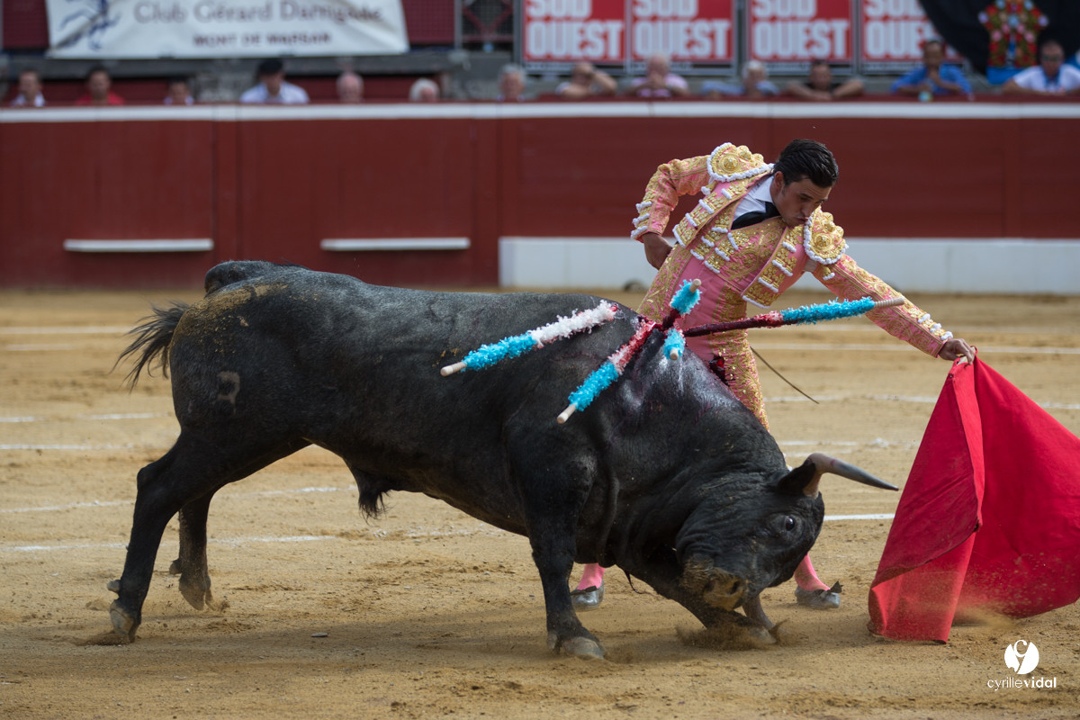 Mont-de-Marsan corrida d'Adolfo Martin