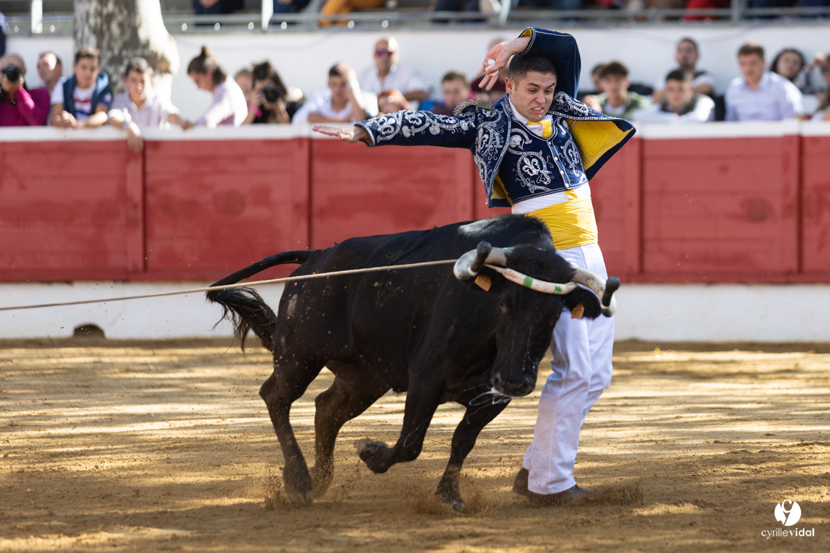 Nogaro Championnat de France de course landaise 2022