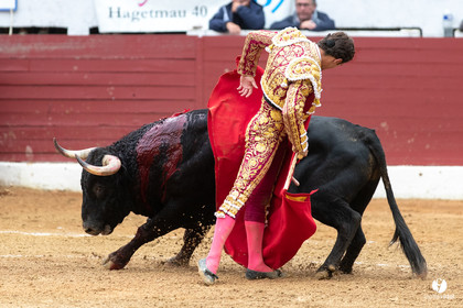 Corrida d'Aire sur l'Adour