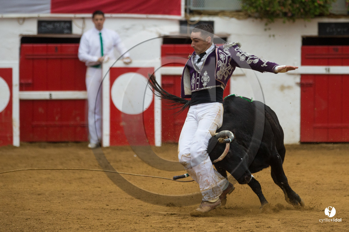 Nogaro Championnatde France de Course Landaise 2017