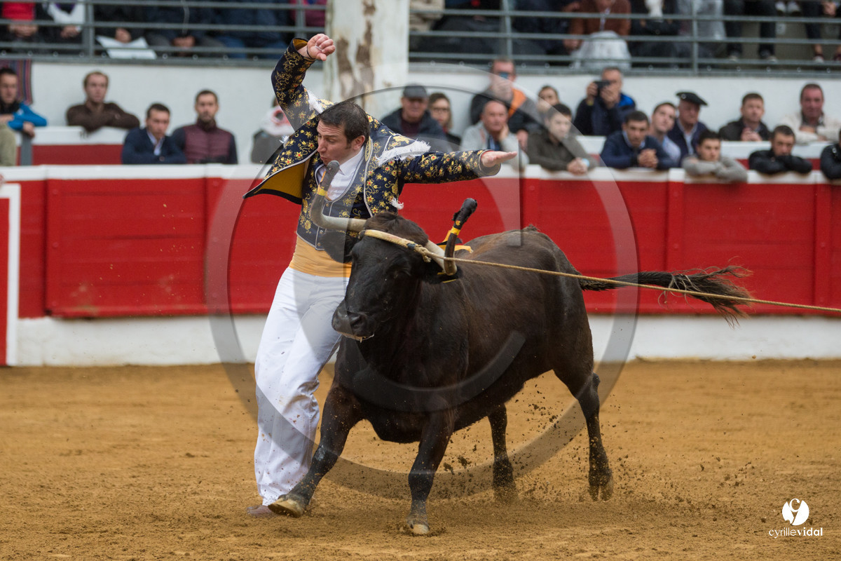 Nogaro Championnatde France de Course Landaise 2017