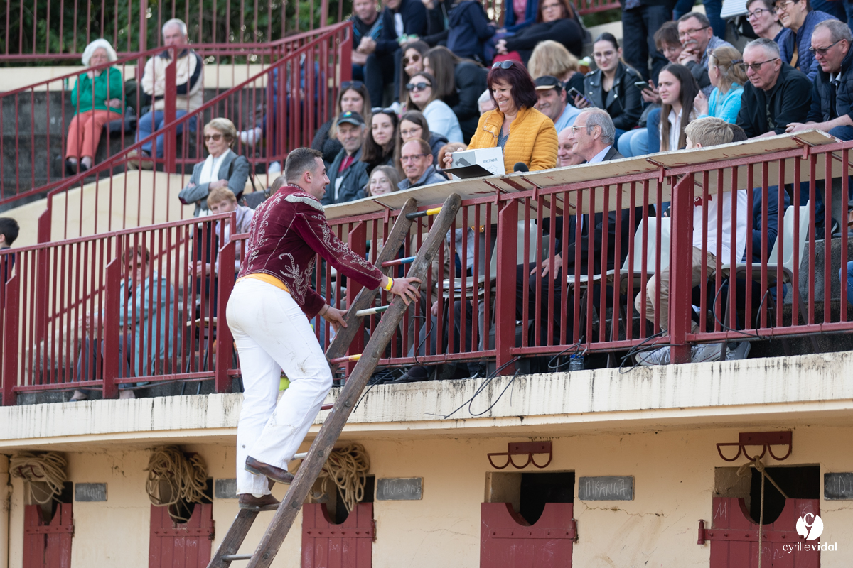Course landaise Le Houga Ganadéria Dussau Cuadrilla Alexandre Brethes