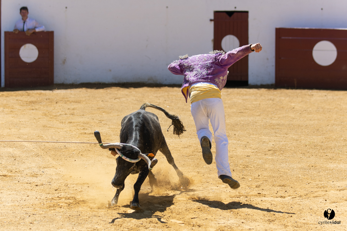 Saint-Cricq Chalosse course landaise de promotion Ganadéria Deyris Cuadrilla Jérémy Lafitte