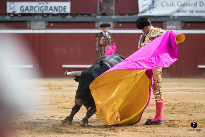 Mont-de-Marsan corrida de Garcigrande pour El Juli et Juan Bautista