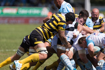 Bayonne - Stade Montois