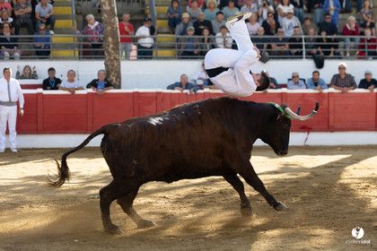 Nogaro Championnat de France de course landaise 2022