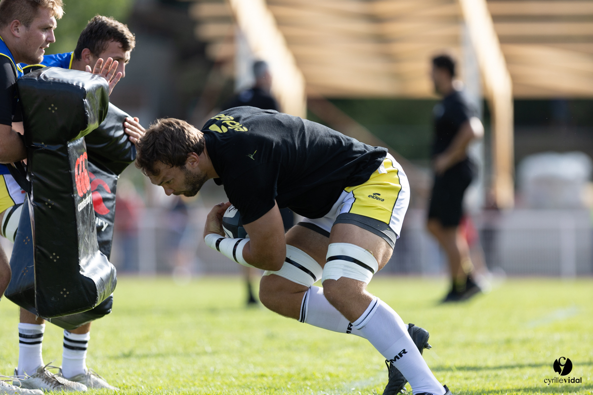 Stade Montois Rugby - Section Paloise