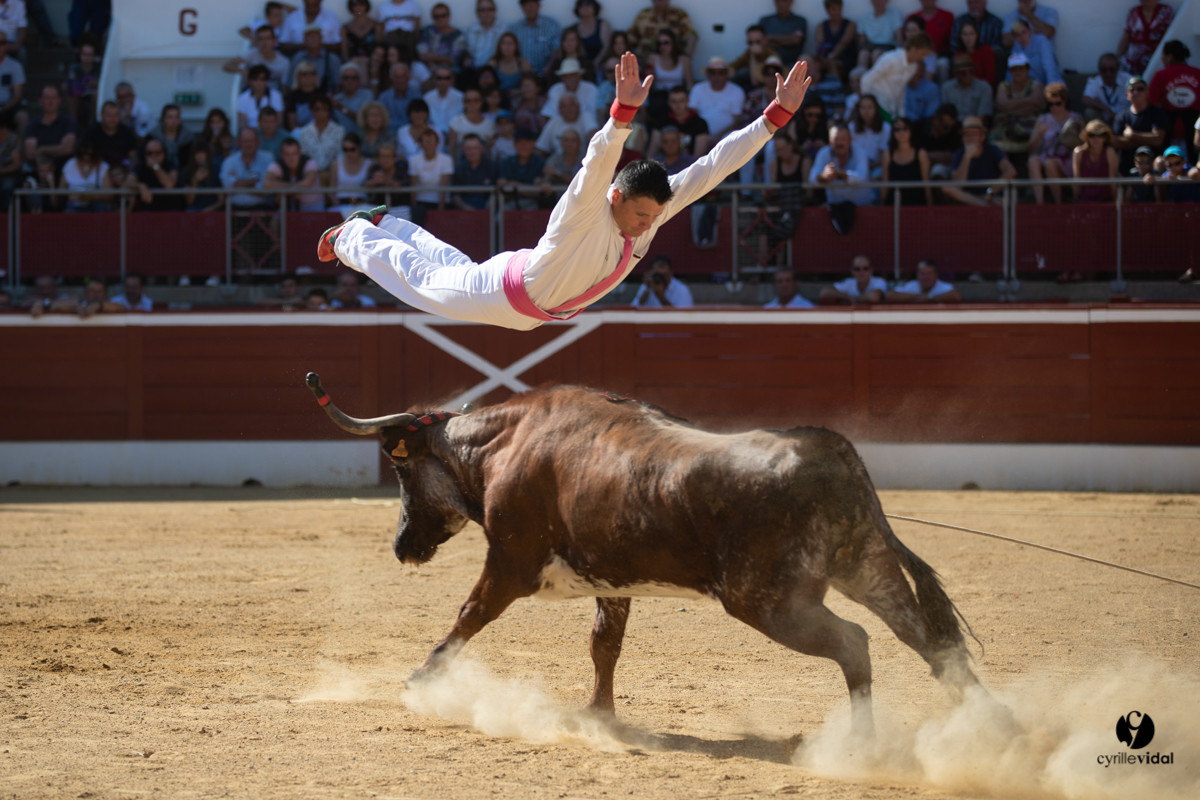 Mont-de-Marsan championnat de France de course landaise 2019