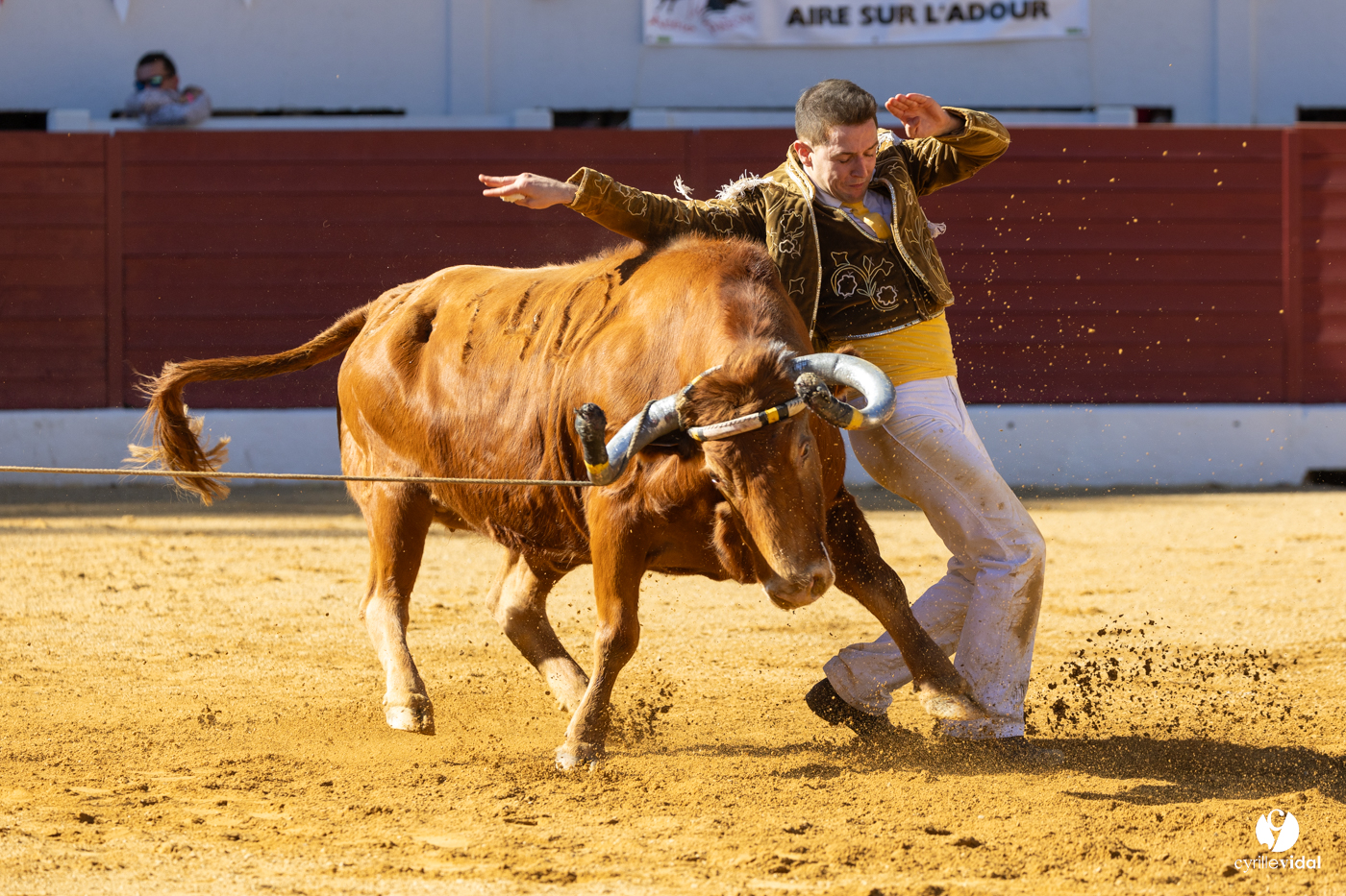 Aire-sur-l'Adour Championnat de France de course landaise 2023