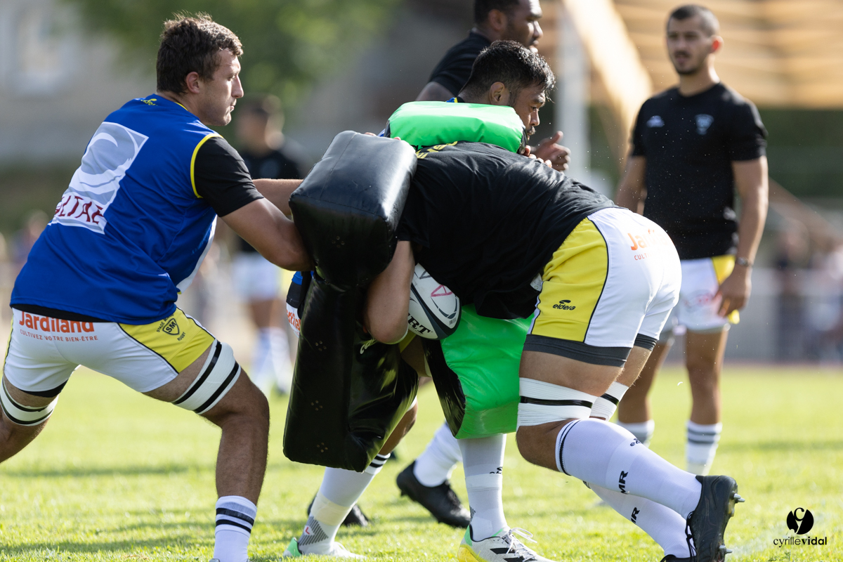 Stade Montois Rugby - Section Paloise
