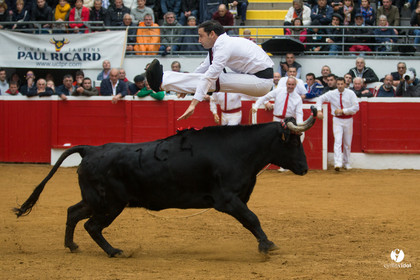 Nogaro Championnatde France de Course Landaise 2017