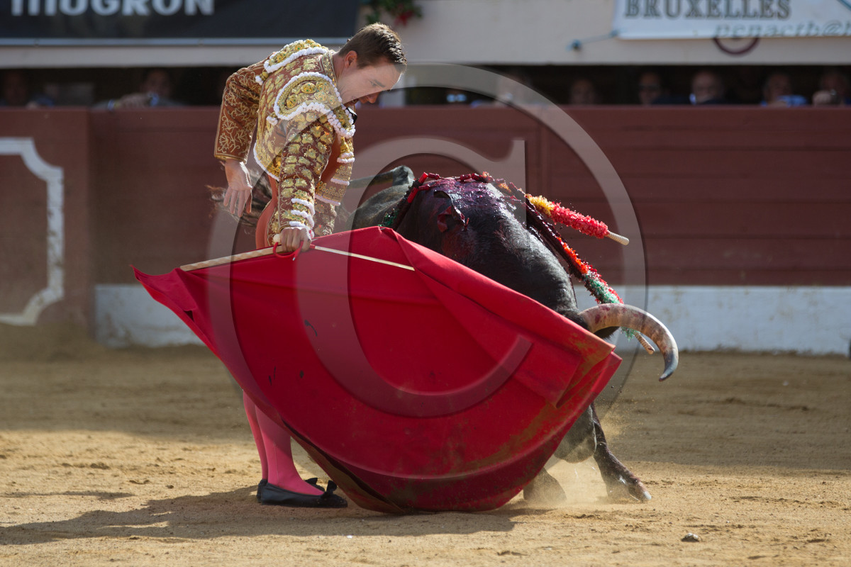 corrida, toro, vic fezensac, alcurrucen, michelito, morenito de aranda