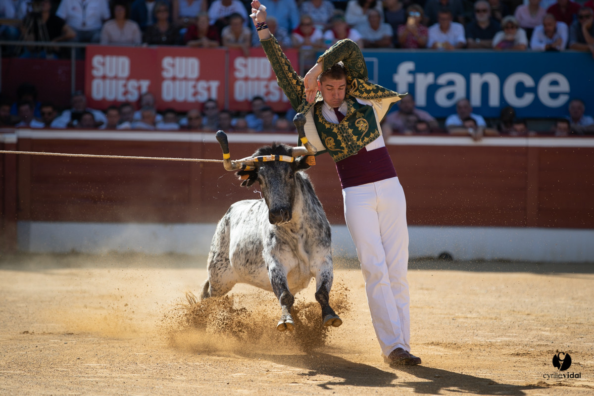 Mont-de-Marsan championnat de France de course landaise 2019