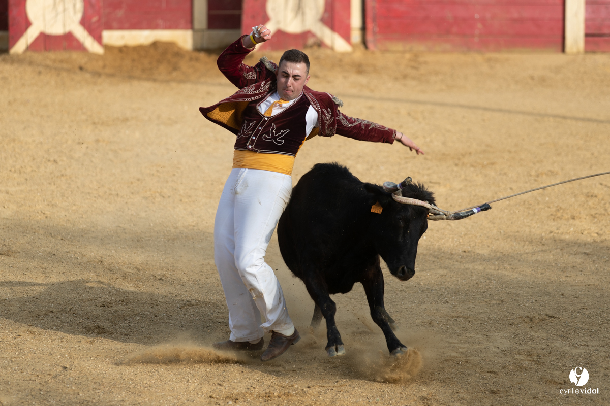 Course landaise Le Houga Ganadéria Dussau Cuadrilla Alexandre Brethes