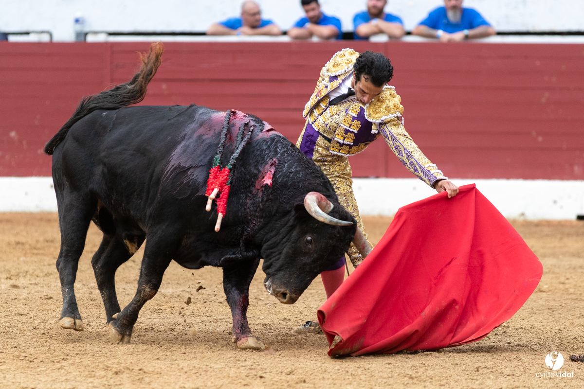 Corrida d'Aire sur l'Adour