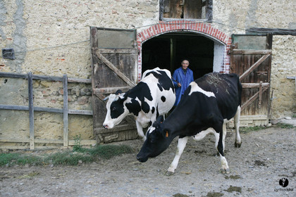 Jours de pelère