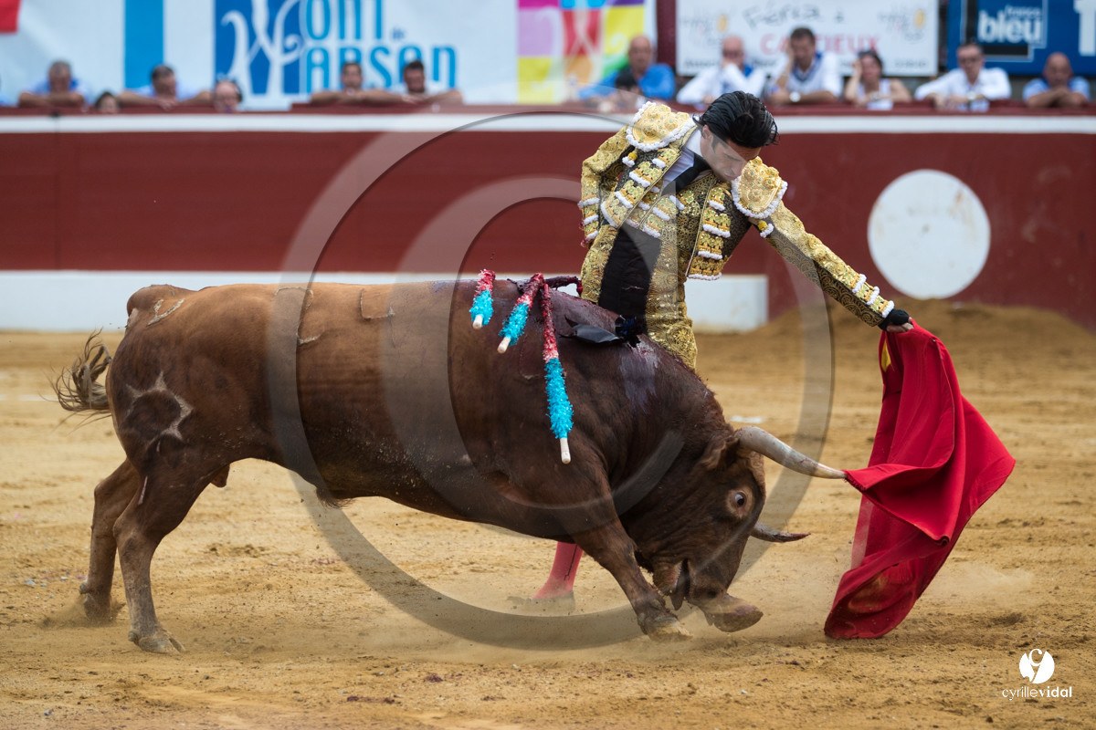 Mont-de-Marsan corrida de Jandilla pour Padilla - Talavante - Roca Rey