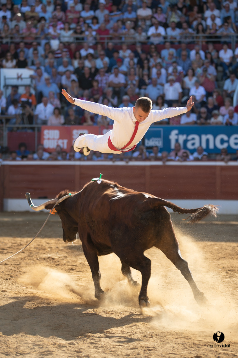 Mont-de-Marsan championnat de France de course landaise 2019