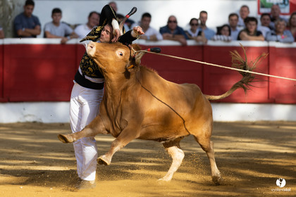 Nogaro Championnat de France de course landaise 2022