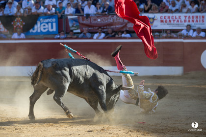Mont-de-Marsan corrida d'Adolfo Martin
