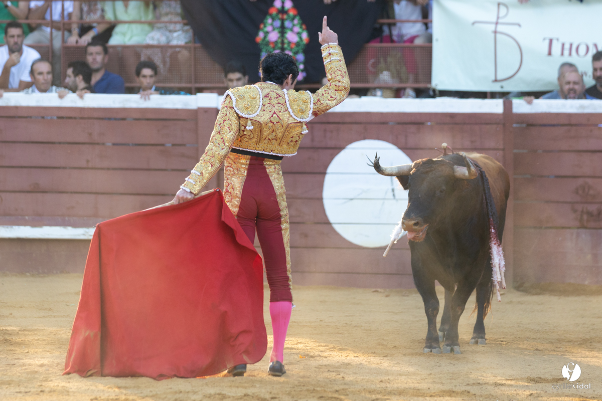 Corrida de Villeneuve-de-Marsan