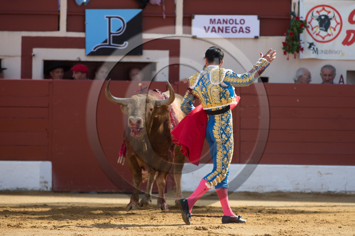 corrida, toro, vic fezensac, alcurrucen, michelito, morenito de aranda