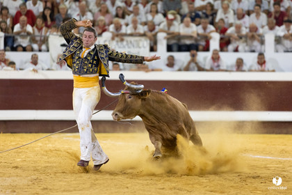 Dax concours landais 2022