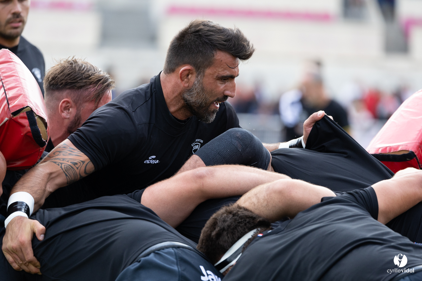 Dax - Stade Montois Rugby