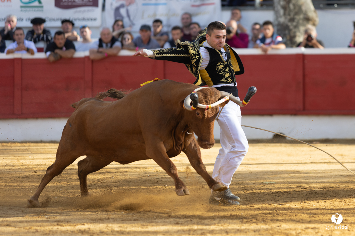 Nogaro Championnat de France de course landaise 2022