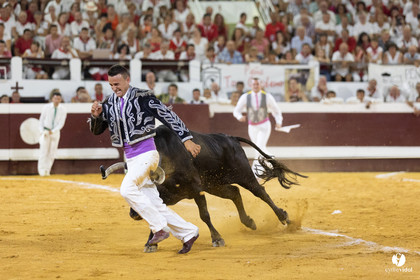 Dax concours landais 2022
