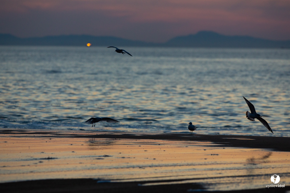 Océan Capbreton - Hossegor et Lac