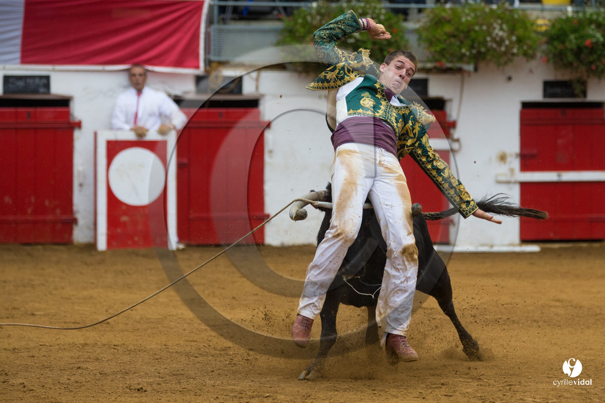 Nogaro Championnatde France de Course Landaise 2017