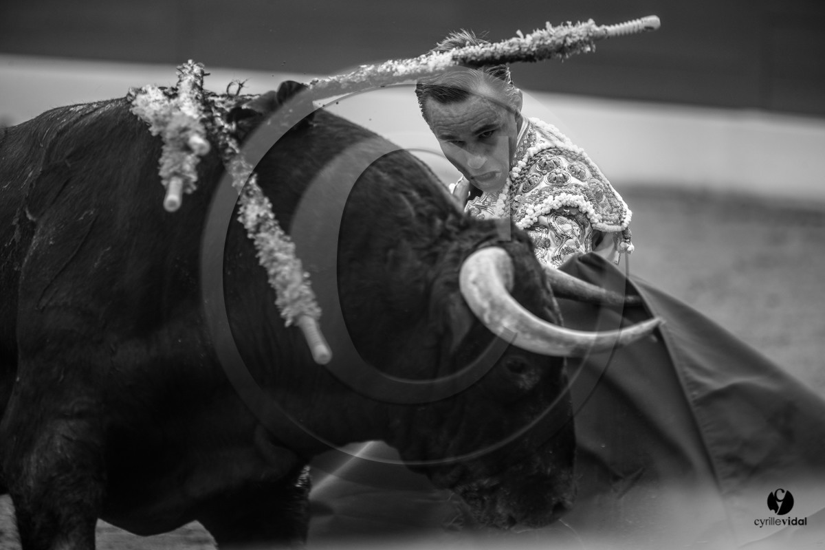 Mont-de-Marsan corrida de Garcigrande pour El Juli et Juan Bautista