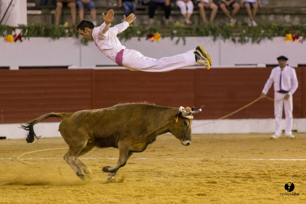 Aire sur l'Adour course landaise génération Aturine