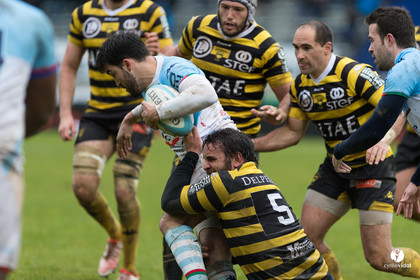 Bayonne - Stade Montois