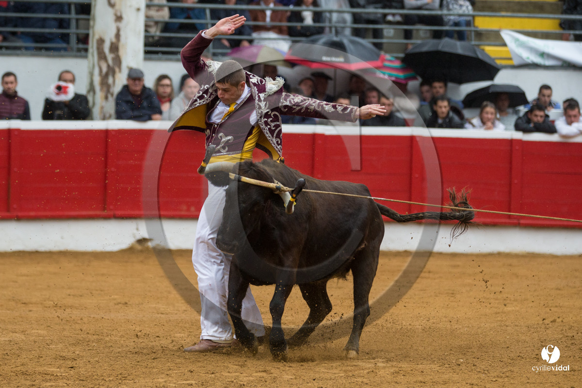 Nogaro Championnatde France de Course Landaise 2017
