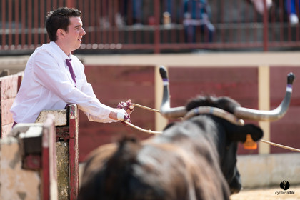 Course landaise Le Houga Ganadéria Dussau Cuadrilla Alexandre Brethes