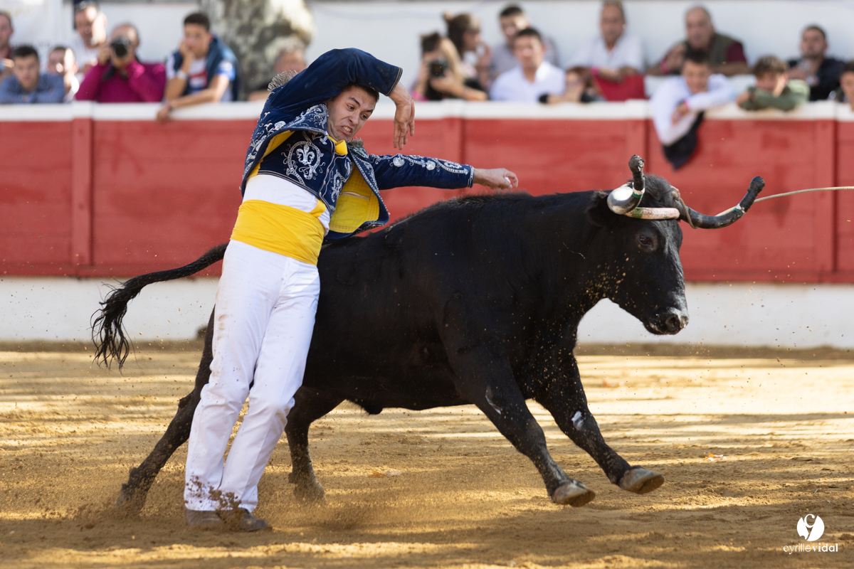 Nogaro Championnat de France de course landaise 2022