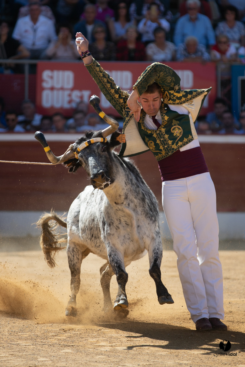 Mont-de-Marsan championnat de France de course landaise 2019