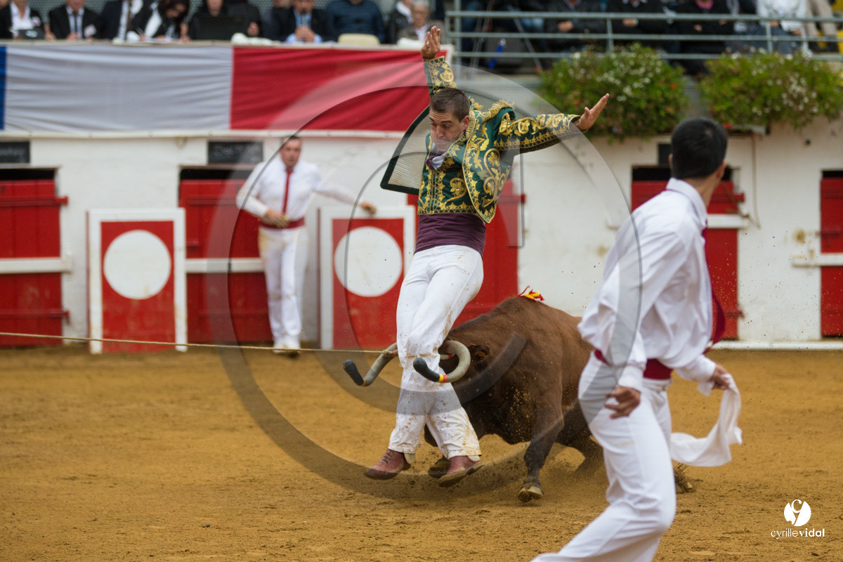 Nogaro Championnatde France de Course Landaise 2017