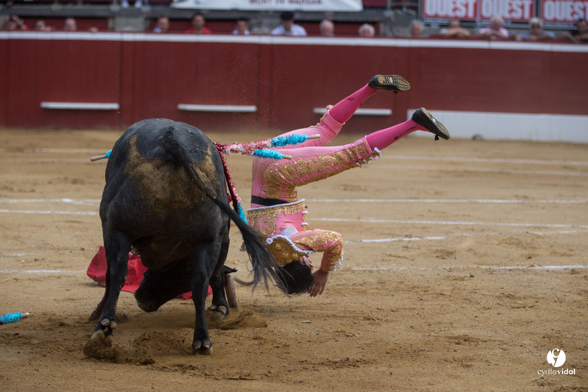 Mont-de-Marsan corrida d'Adolfo Martin