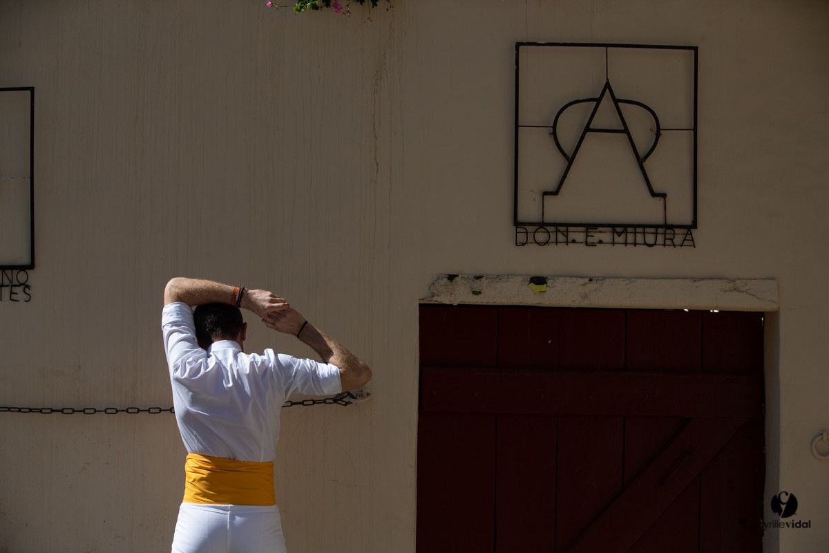 Mont-de-Marsan championnat de France de course landaise 2019