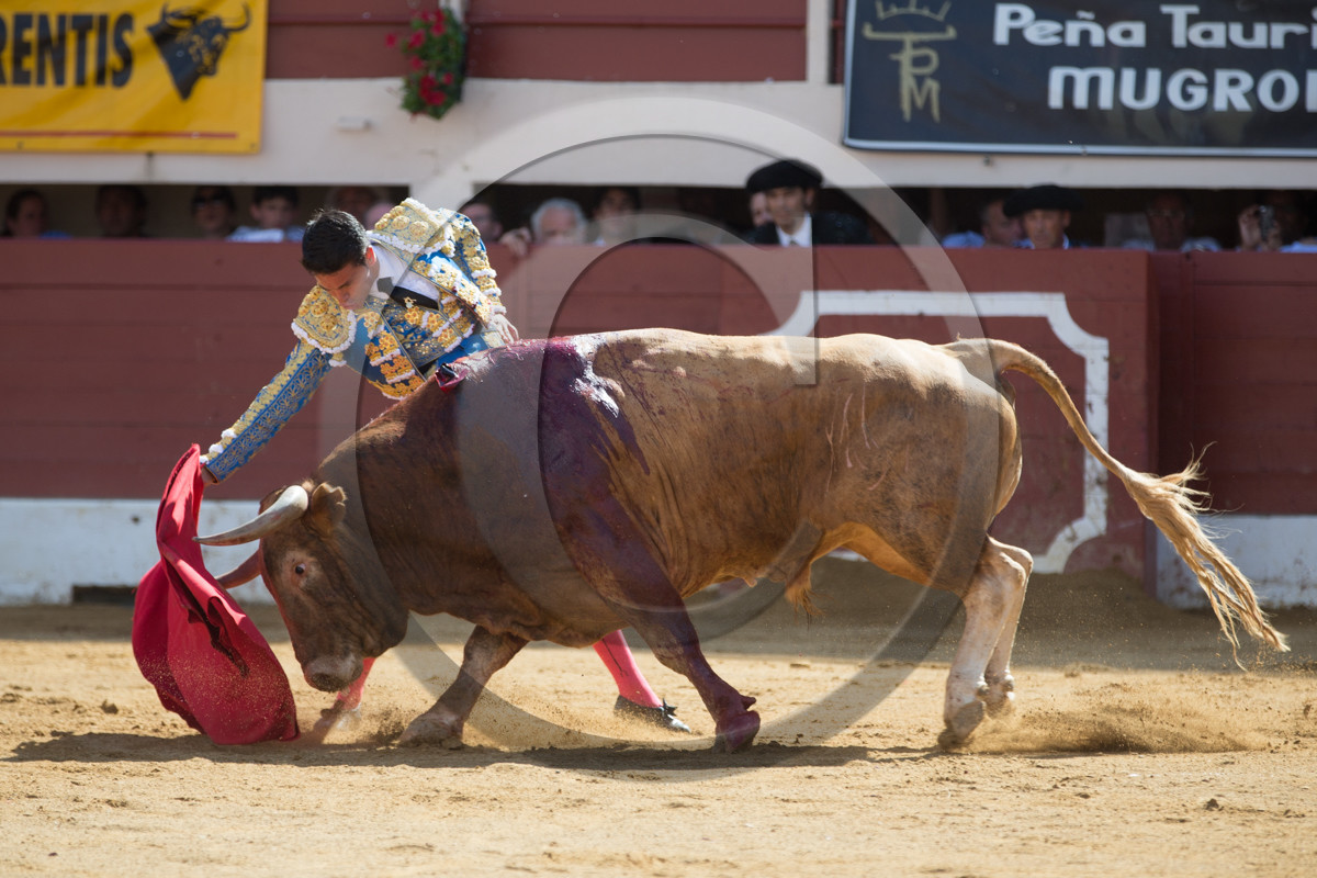 corrida, toro, vic fezensac, alcurrucen, michelito, morenito de aranda
