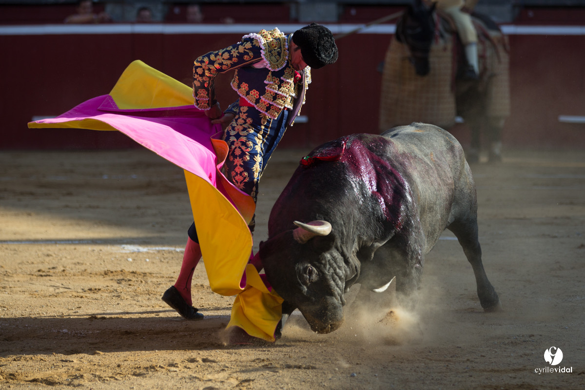 Mont-de-Marsan corrida d'Adolfo Martin