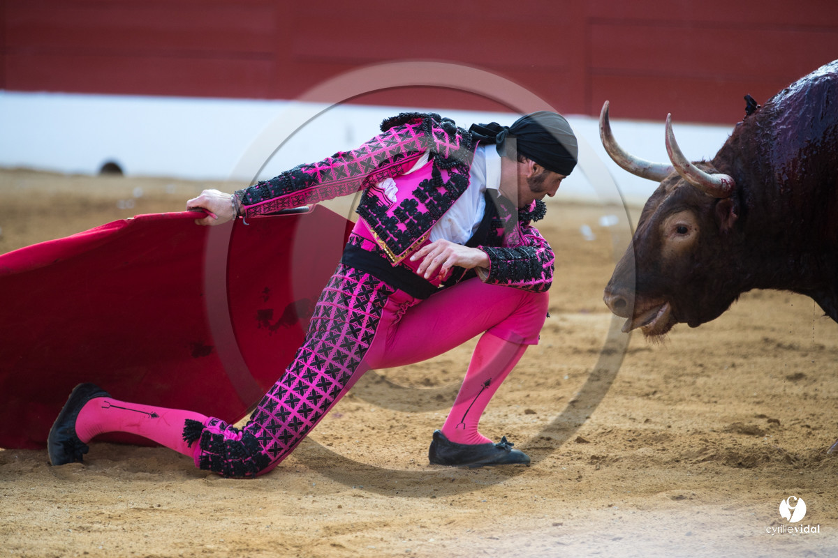Mont-de-Marsan corrida de Jandilla pour Padilla - Talavante - Roca Rey