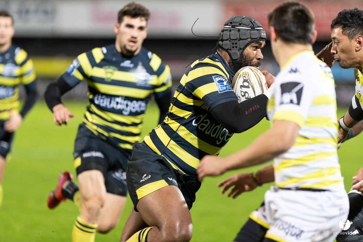 Stade Montois Rugby - Carcassonne