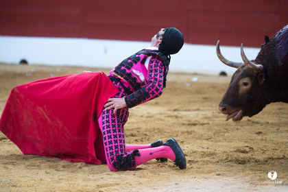 Mont-de-Marsan corrida de Jandilla pour Padilla - Talavante - Roca Rey